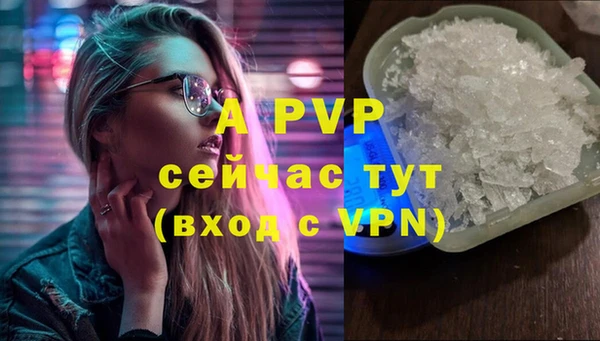 apvp Богданович