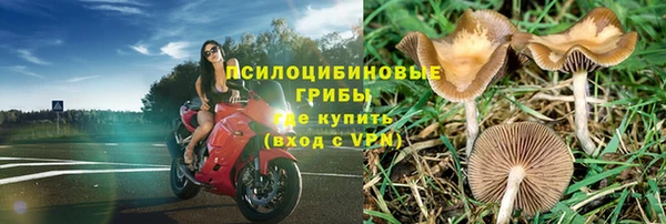 мяу мяу мука Баксан