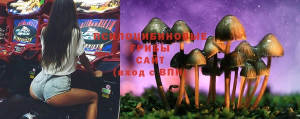 круглые Богородск