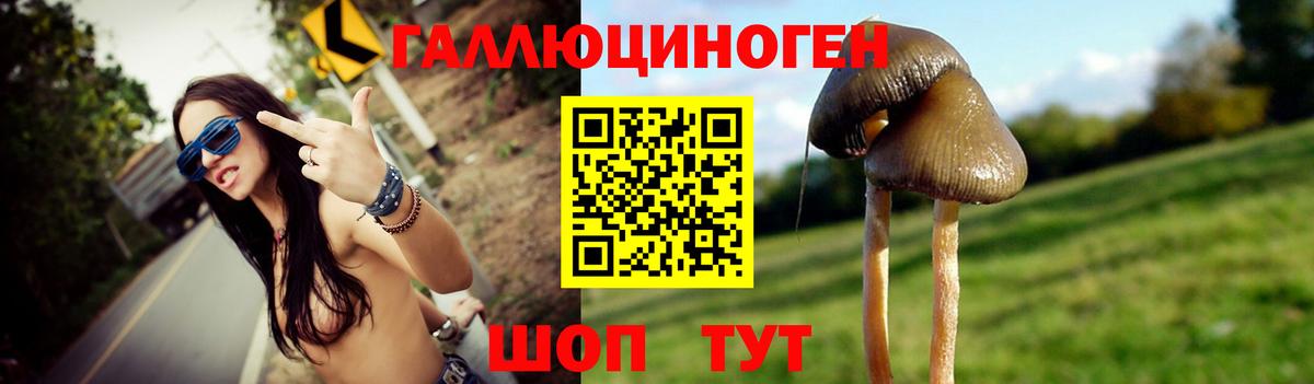Галлюциногенные грибы мухоморы  Вход с VPN  Горно-Алтайск 