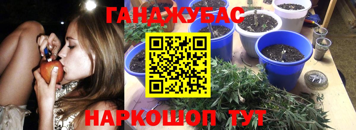 МАРИХУАНА семена  Конопля планчик  Канабис марихуана  Горно-Алтайск 